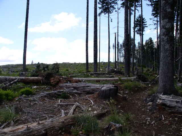 6.10.06 Table Mtn_3CR 135 